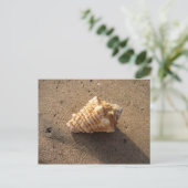 Conch Seashell Sand Beach Postkarten (Stehend Vorderseite)