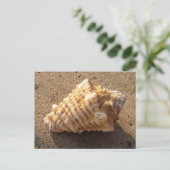 Conch Seashell Sand Beach Postkarten (Stehend Vorderseite)