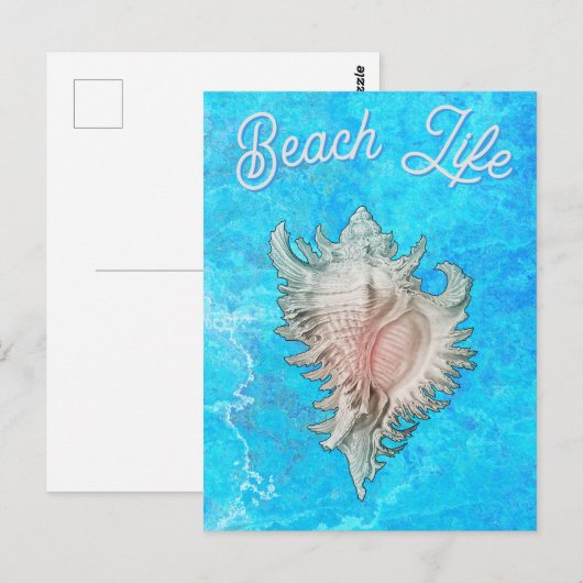 Conch Shell "Beach Life" Postkarte (Vorne/Hinten)