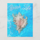 Conch Shell "Beach Life" Postkarte (Vorderseite)