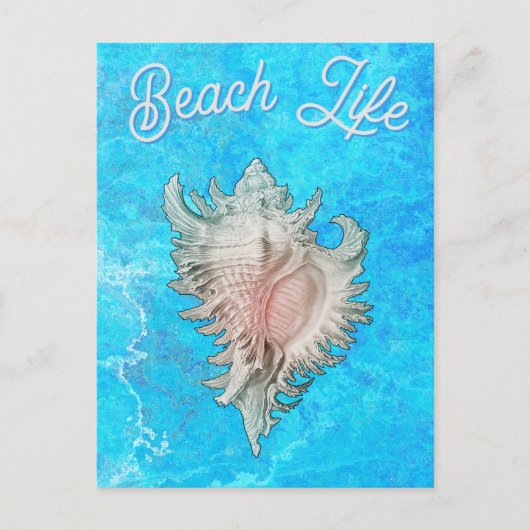 Conch Shell "Beach Life" Postkarte (Vorderseite)
