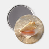 Conch Shell In Sand On Tropical Beach Magnet (Vorderseite/Rückseite)
