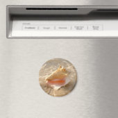 Conch Shell In Sand On Tropical Beach Magnet (In Situ (Geschirrspüler))