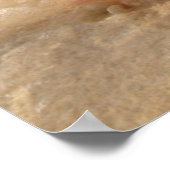 Conch Shell In Sand On Tropical Beach Poster (Ecke)