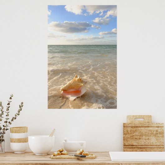Conch Shell In Sand On Tropical Beach Poster (Küche)