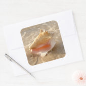 Conch Shell In Sand On Tropical Beach Quadratischer Aufkleber (Umschlag)