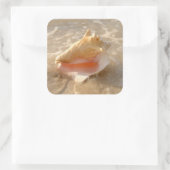 Conch Shell In Sand On Tropical Beach Quadratischer Aufkleber (Tasche)
