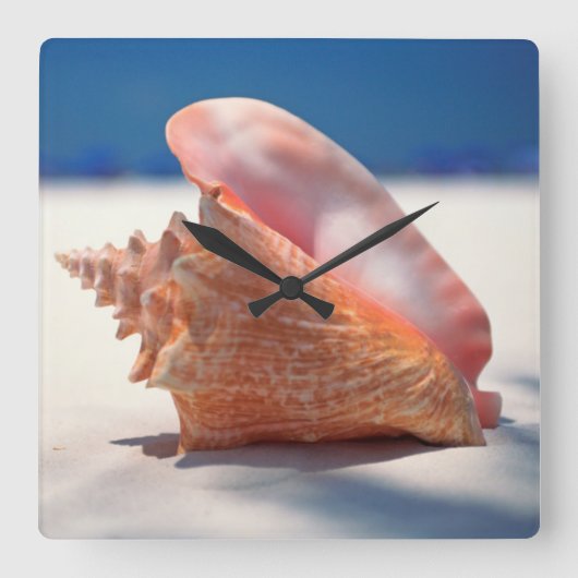 Conch Shell On Beach 2 Quadratische Wanduhr (Vorderseite)