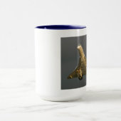 Concorde-Tasse Tasse (Zentrum)