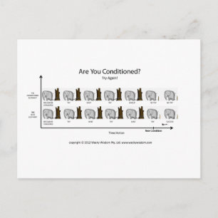 Conditioned Elephant Postkarte