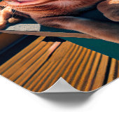 Condo-Top Cat Tragen Sonnenbrille Poster (Ecke)