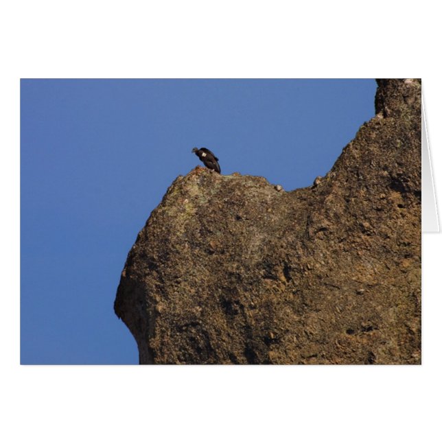 Condor #87 (Vorderseite (Horizontal))