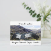 Cóndor Andino Postcard Postkarte (Stehend Vorderseite)