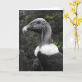 Condor Greeting Card Karte (Gelbe Blume)
