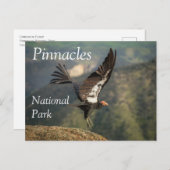 Condor in Flight, Pinnacles National Park, CA Postkarte (Vorne/Hinten)