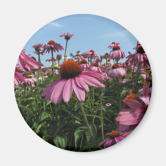 Cone Blume Magnet (Vorne)