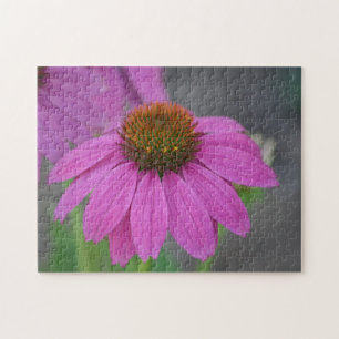 Cone Blume Puzzle