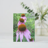 Cone Blume Trio Postkarte (Stehend Vorderseite)