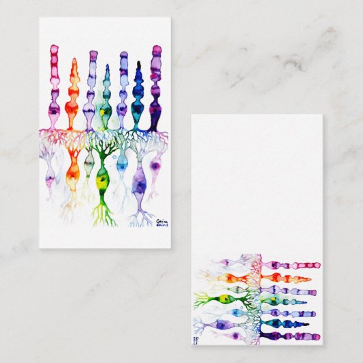 Cone cells rod cells and bipolar neurons of retina visitenkarte (Vorne/Hinten)