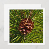 Cone Foto Feiertagskarte (Vorne/Hinten)