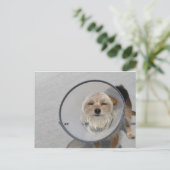 Cone Head Postkarte (Stehend Vorderseite)