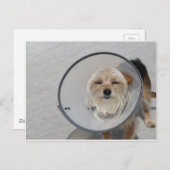 Cone Head Postkarte (Vorne/Hinten)