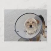 Cone Head Postkarte (Vorderseite)