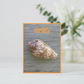 Cone-Muschel Postkarte (Stehend Vorderseite)