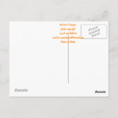 Cone-Muschel Postkarte (Rückseite)