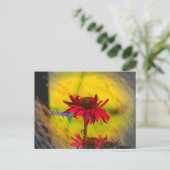 Coneflower Art #2 Postkarte (Stehend Vorderseite)