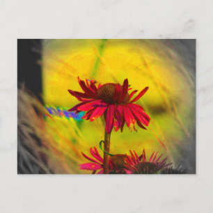 Coneflower Art #2 Postkarte