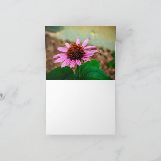 Coneflower Beauty Dankeskarte (Innenseite)