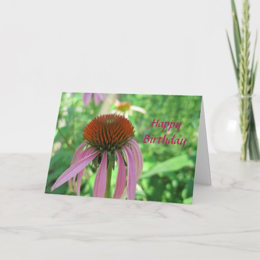 Coneflower Birthday Card Karte (Vorderseite)