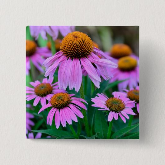Coneflower Button (Vorderseite)