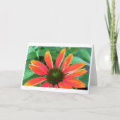 Coneflower, card karte (Vorderseite)