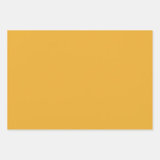 Coneflower Gingham Geschenkpapier Set (Vorderseite 3)