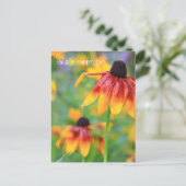 Coneflower Postcard Postkarte (Stehend Vorderseite)