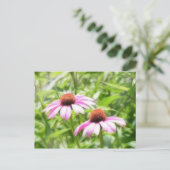 Coneflower Twins Postkarte (Stehend Vorderseite)