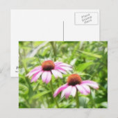 Coneflower Twins Postkarte (Vorne/Hinten)