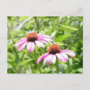 Coneflower Twins Postkarte