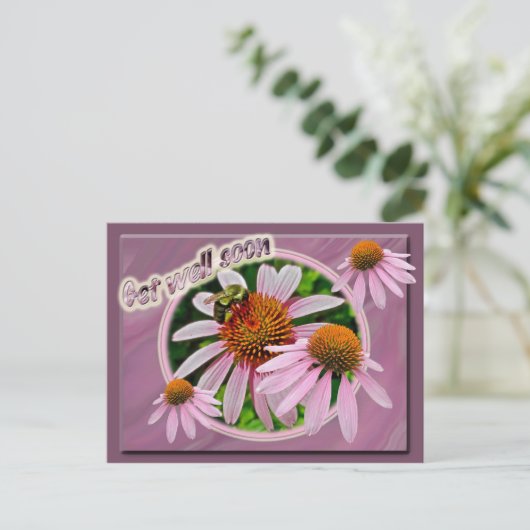 Coneflower wird bald gut postkarte (Stehend Vorderseite)