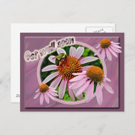 Coneflower wird bald gut postkarte (Vorne/Hinten)