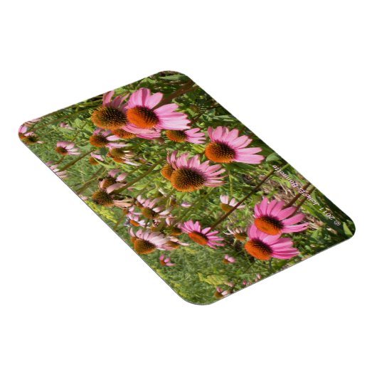 Coneflowers Flexi Magnet (Rechte Seite)