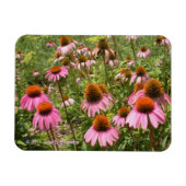 Coneflowers Flexi Magnet (Horizontal)