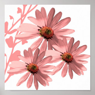 ConeFlowers Poster