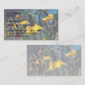 Coneflowers Visitenkarte (Vorne/Hinten)