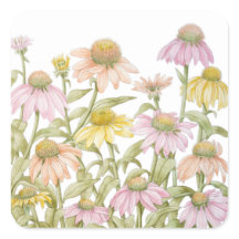 Coneflowers Watercolor Botanische Kunst
