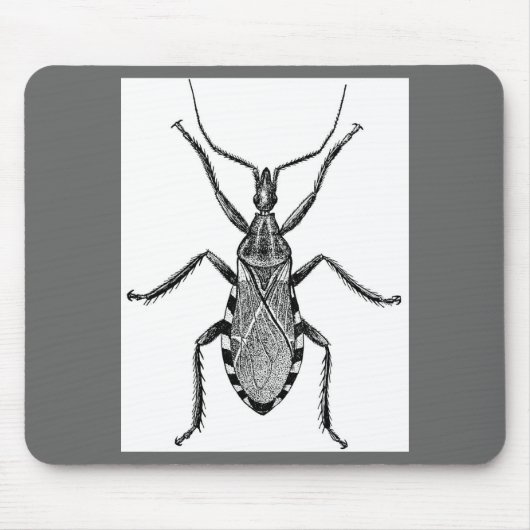 Conenose Wanze - Vintag Mousepad (Vorne)