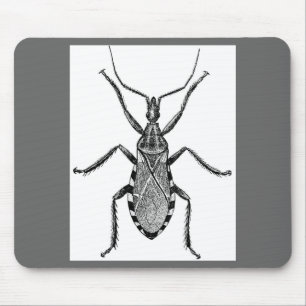 Conenose-Wanze - Vintage Mousepad