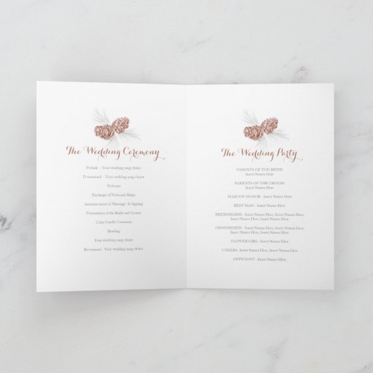 Cones braunes graues Herbstfest-Programm Programm (Innenseite)